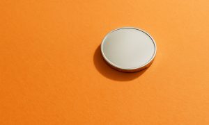 Bonk (BONK) erklärt: Was ist Bonk und wie funktioniert es?